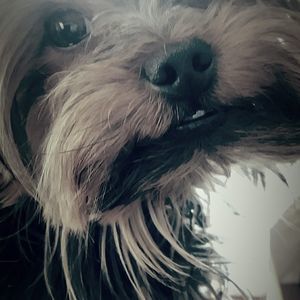 Meet your Posher, Kathi