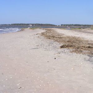 Meet your Posher, Beverly