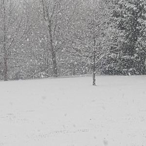 Meet your Posher, Pamela