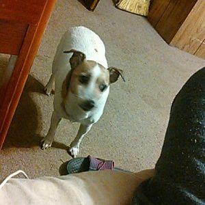 Meet your Posher, Jackie