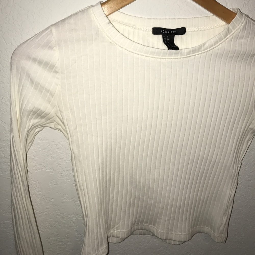 Long Sleeved Crop Top