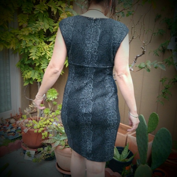 Calvin Klein Snakeskin Animal Print Sheath Dress - Picture 5 of 8