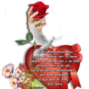 Meet your Posher, Lucy