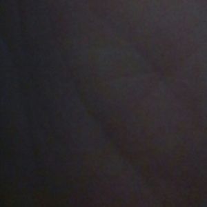 Meet your Posher, Shelley