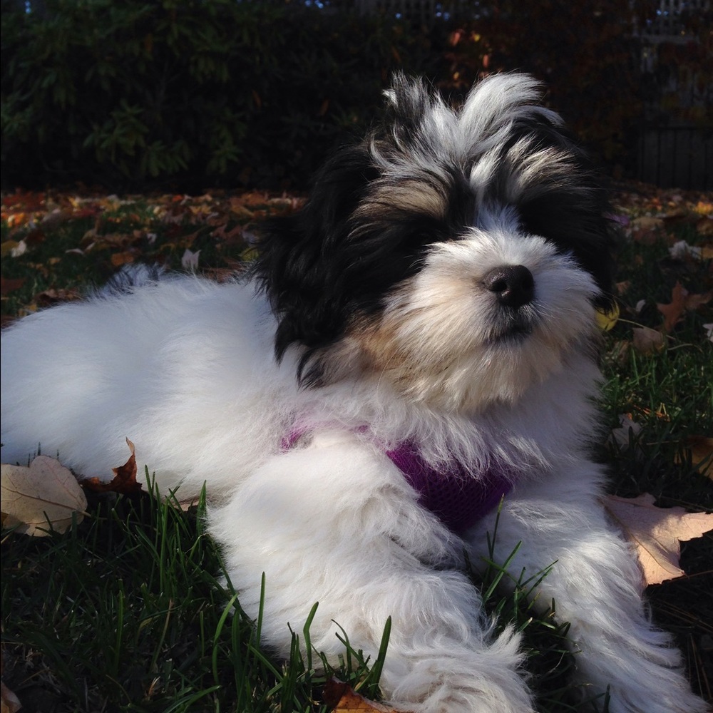 Meet your Posher, Ashley