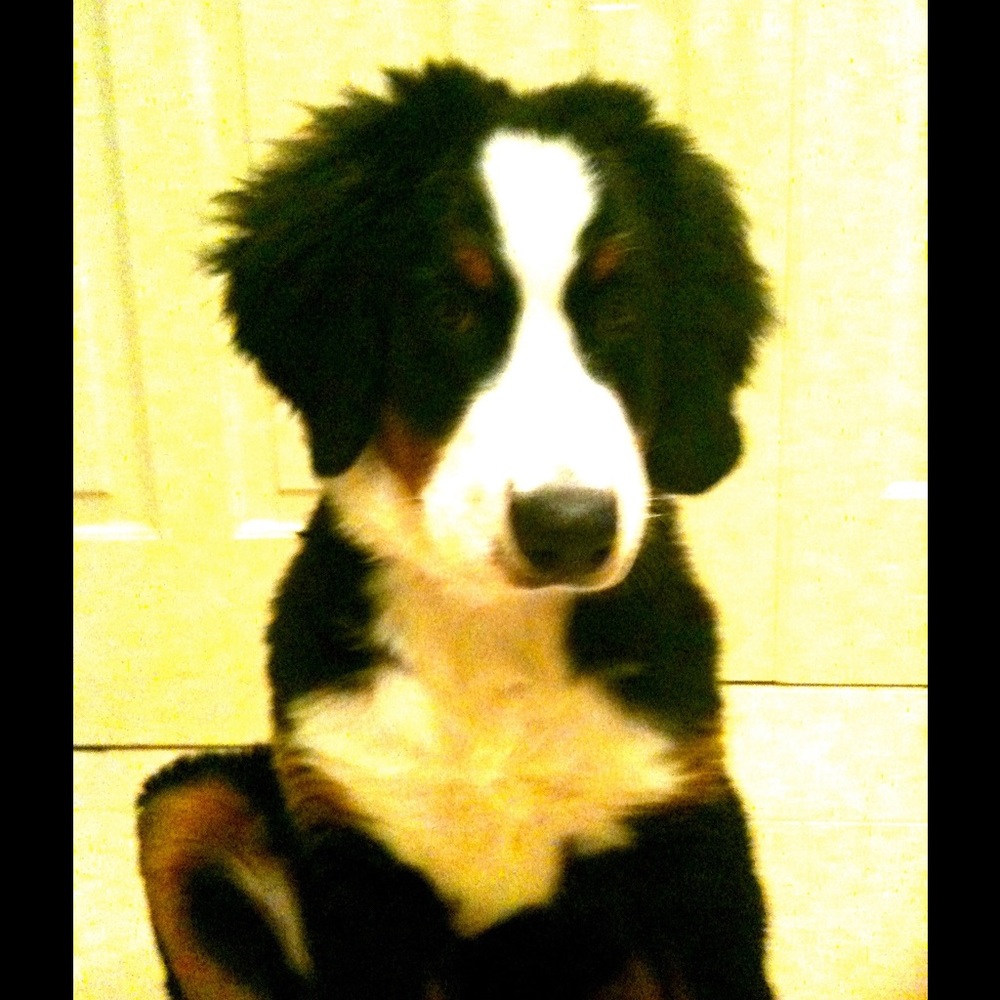 Meet your Posher, Karen