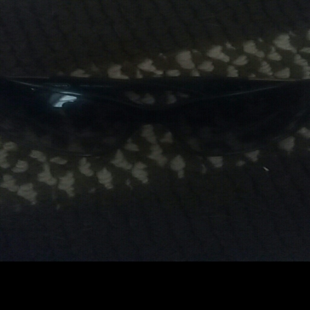Coach sunglasses