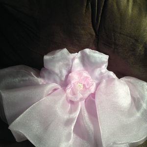 Meet your Posher, Tina