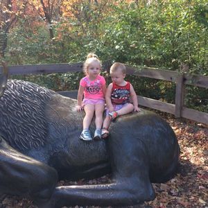 Meet your Posher, Shawn