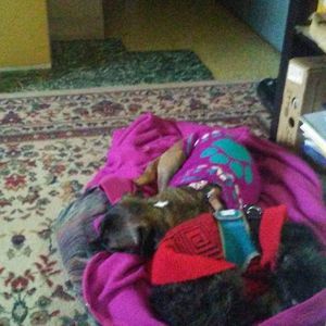 Meet your Posher, Marjorie