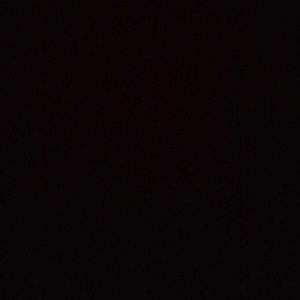 Meet your Posher, Sophia