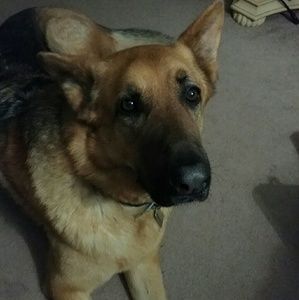 Meet your Posher, Teresa