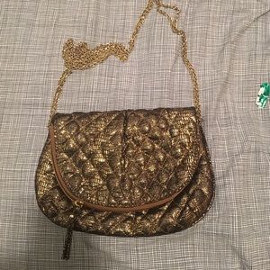 Gold crossbody from Gap!