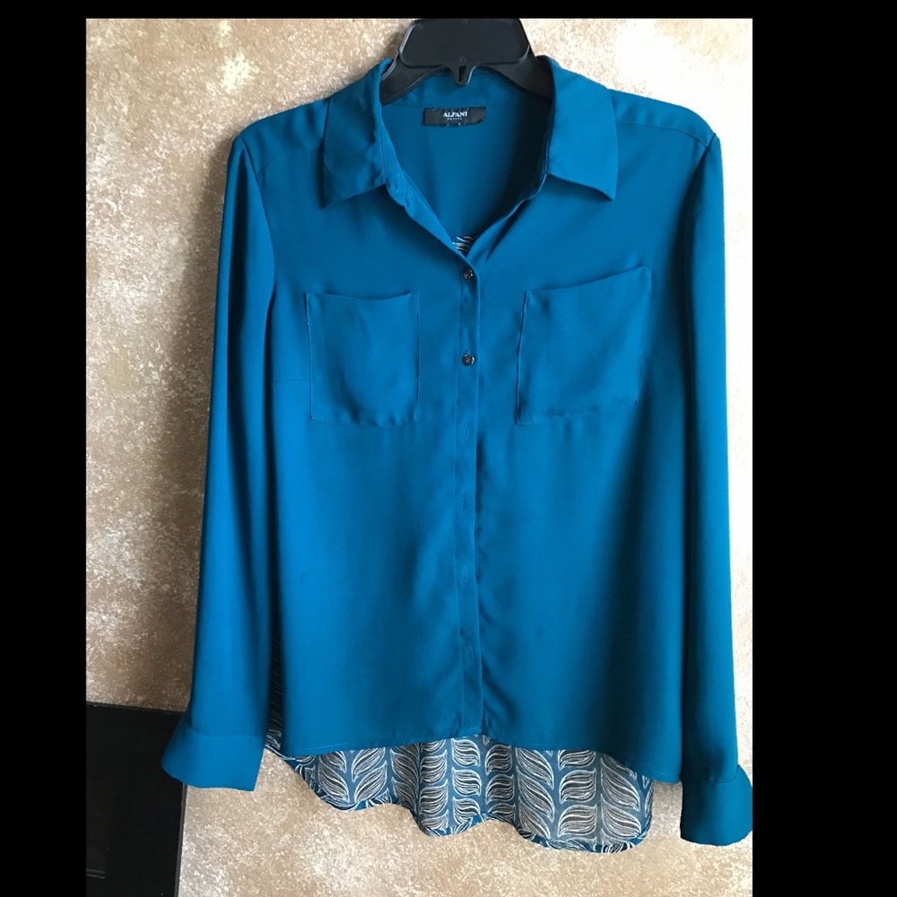 Teal blouse