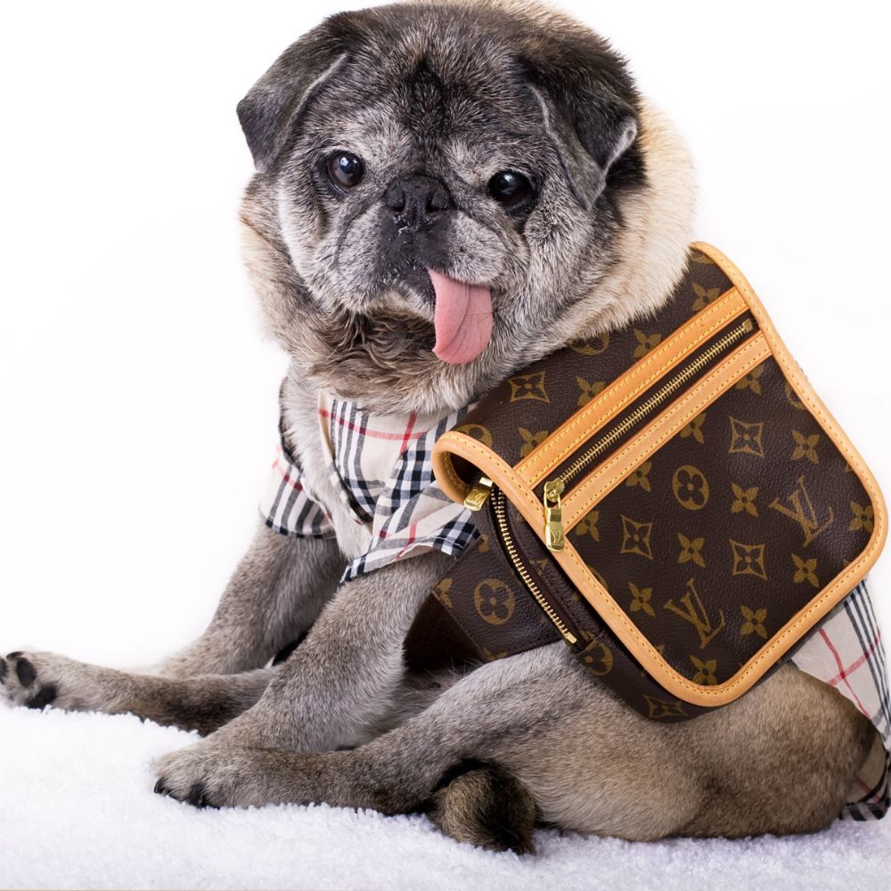 Meet your Posher, Posh