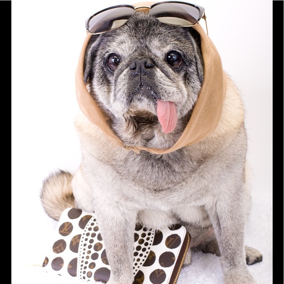 Meet your Posher, Posh - Picture 2 of 4