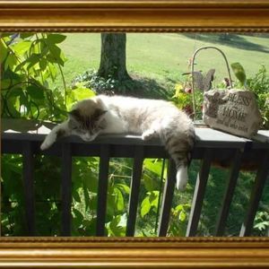 Meet your Posher, Sally