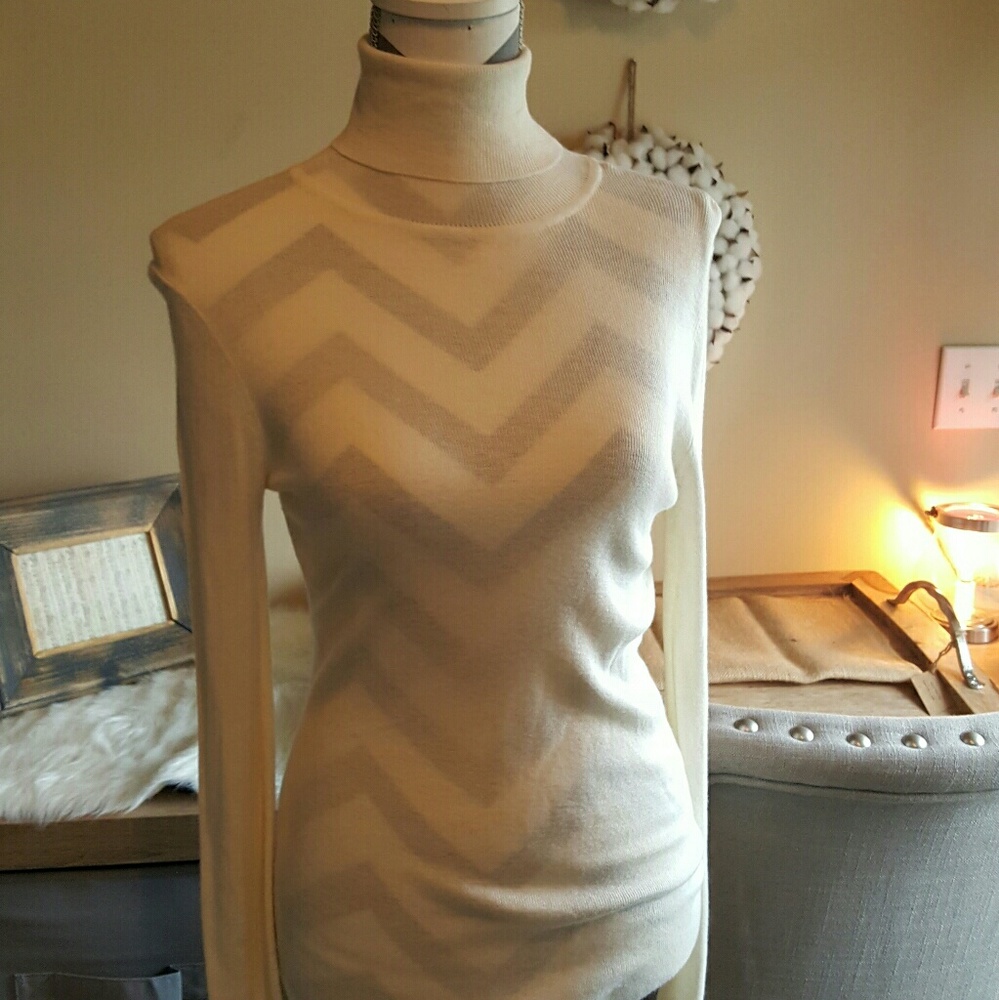 Ann Taylor sweater