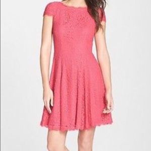 Adrianna Papell Coral A line lace cocktail dress