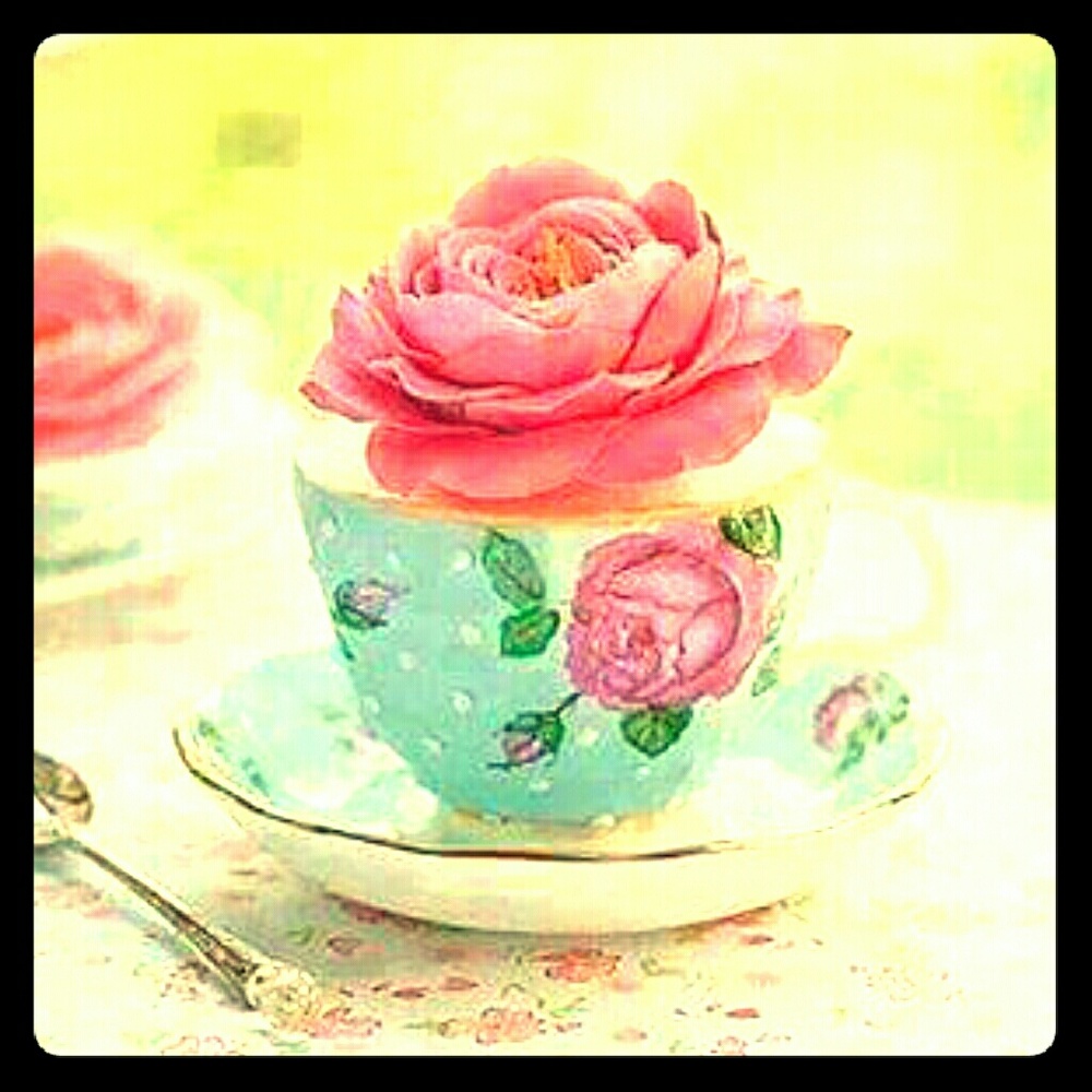 New never wore HD shirt