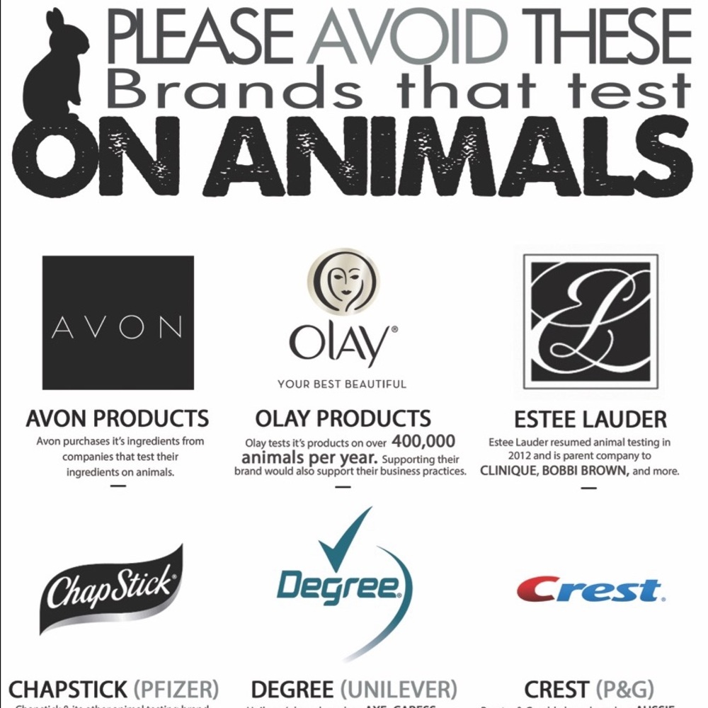 Please Shop With Knowledge! 🐰