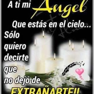 Meet your Posher, Ninfa