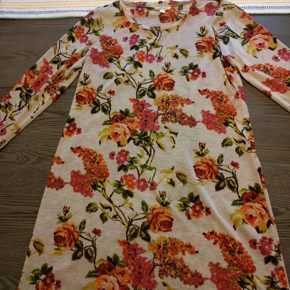 Anthropologie Dresses & Skirts - Floral Long Sleeve Dress by Cousin Earl