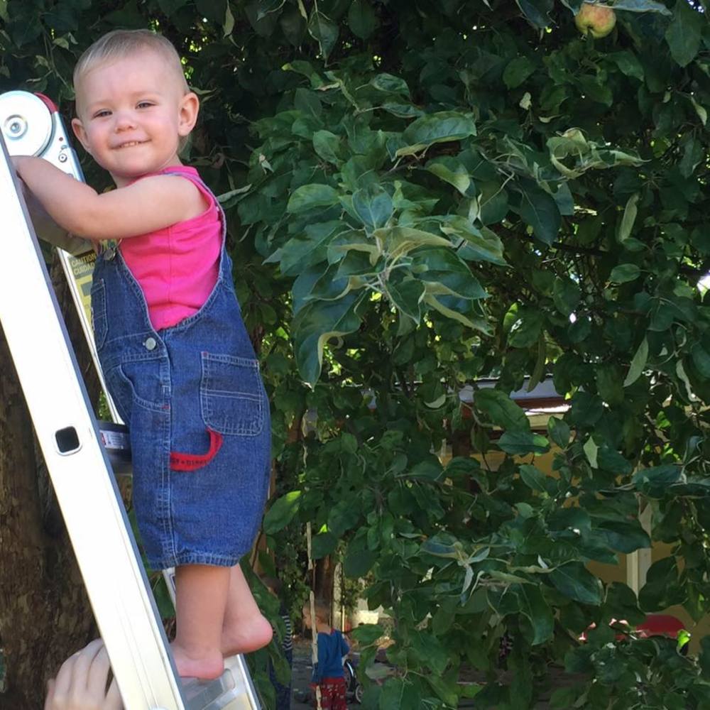 Meet your Posher, Anna