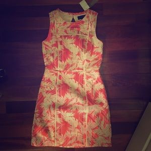 LAST CHANCE J. Crew NWT sundress