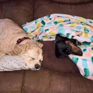 Meet your Posher, Britt