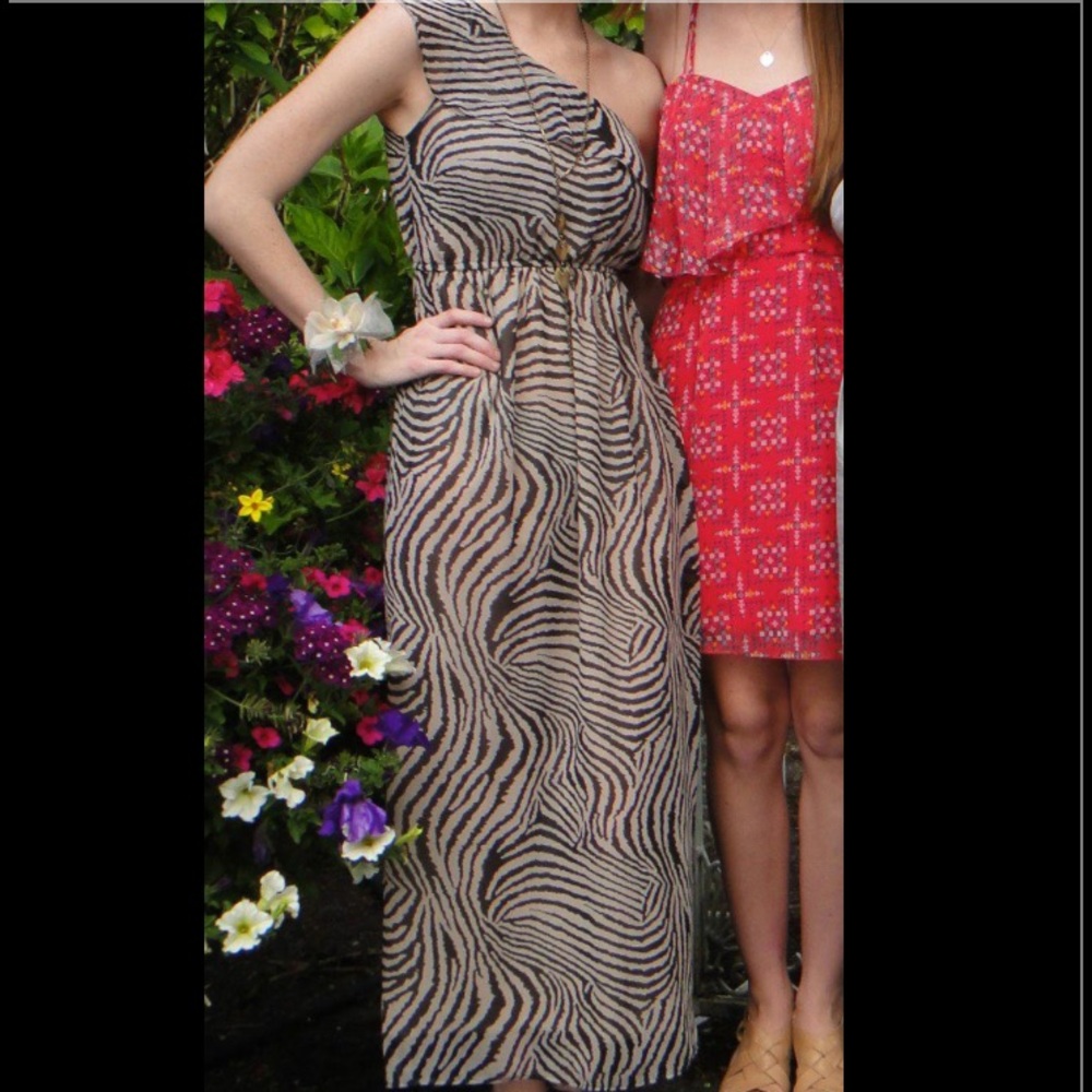 Audrey 3+1 Zebra Print One Shoulder Maxi