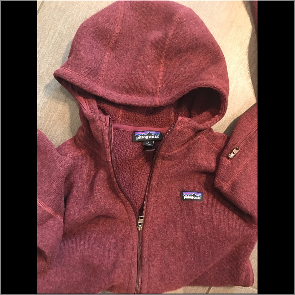 Patagonia hooded fleece