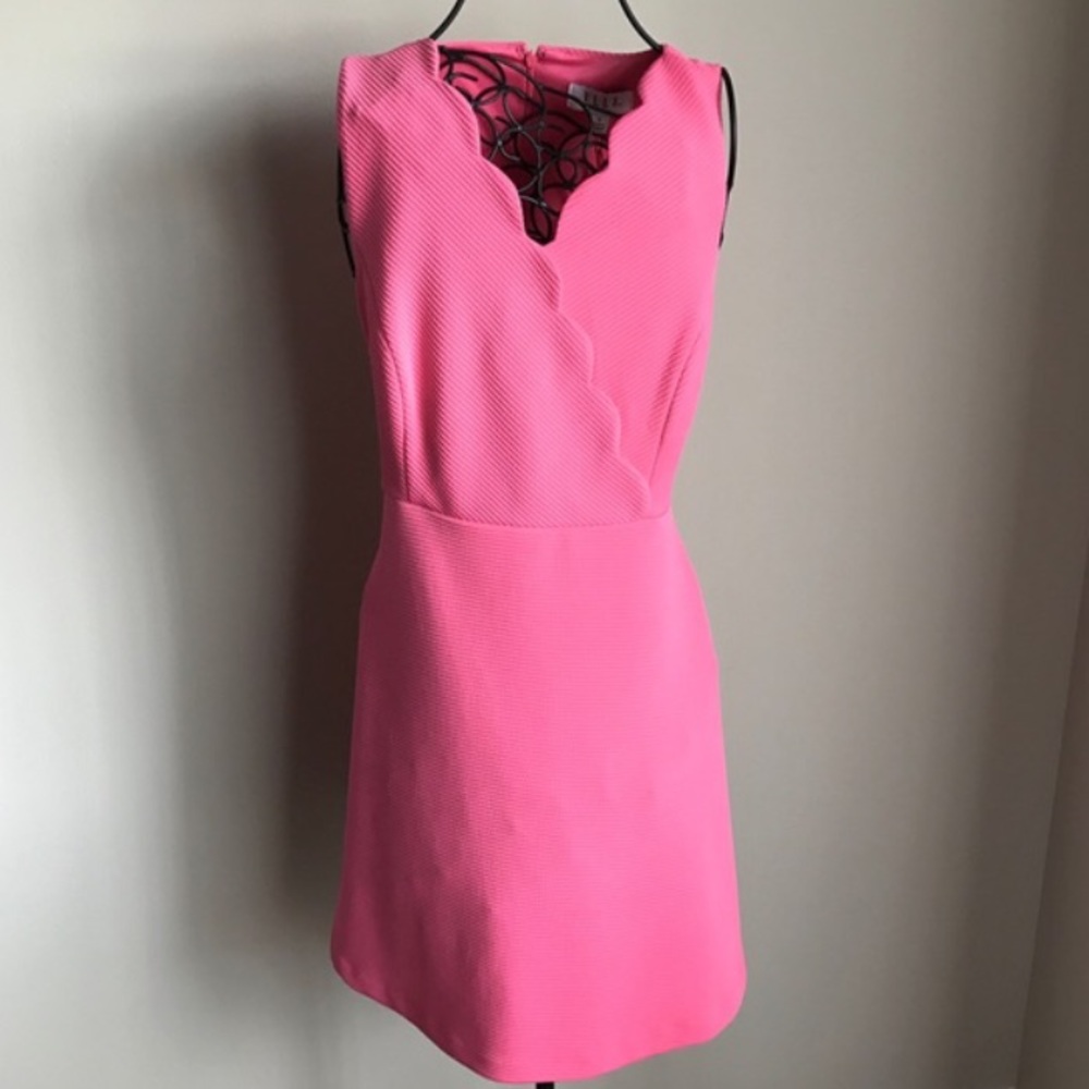 Elle Magazine Pink Scalloped Skater Dress - 6