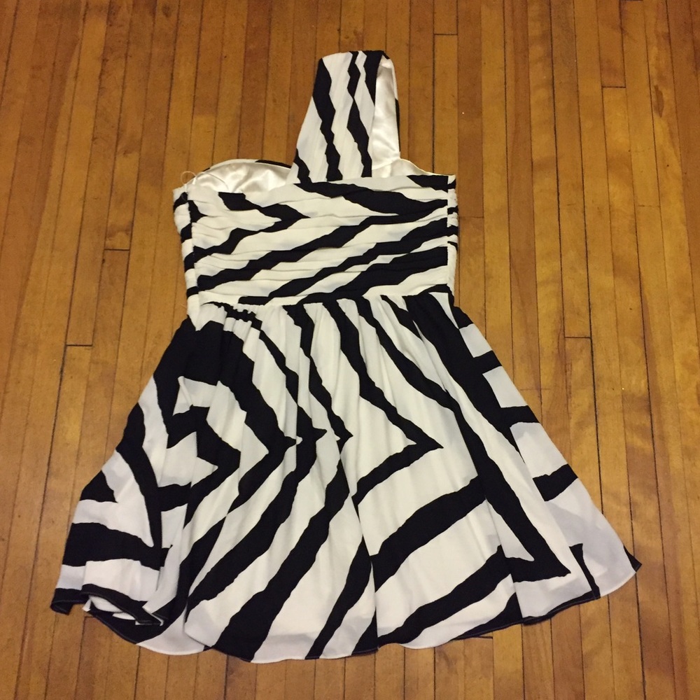 Express Dress - Picture 3 of 5