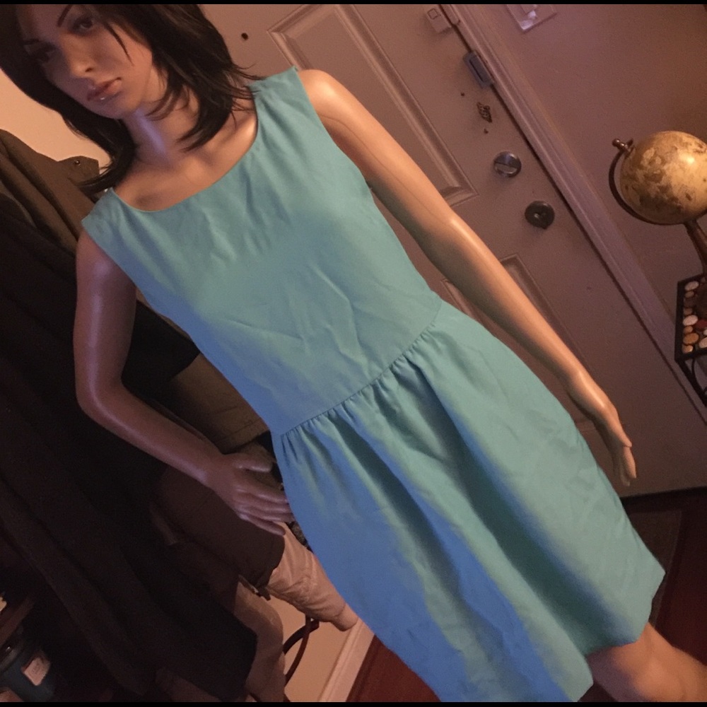 J. Crew Dress