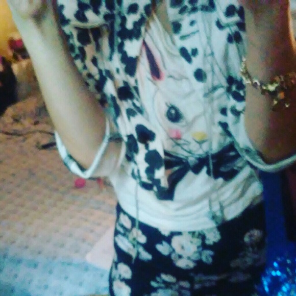 Meet your Posher, Skye - Picture 5 of 7