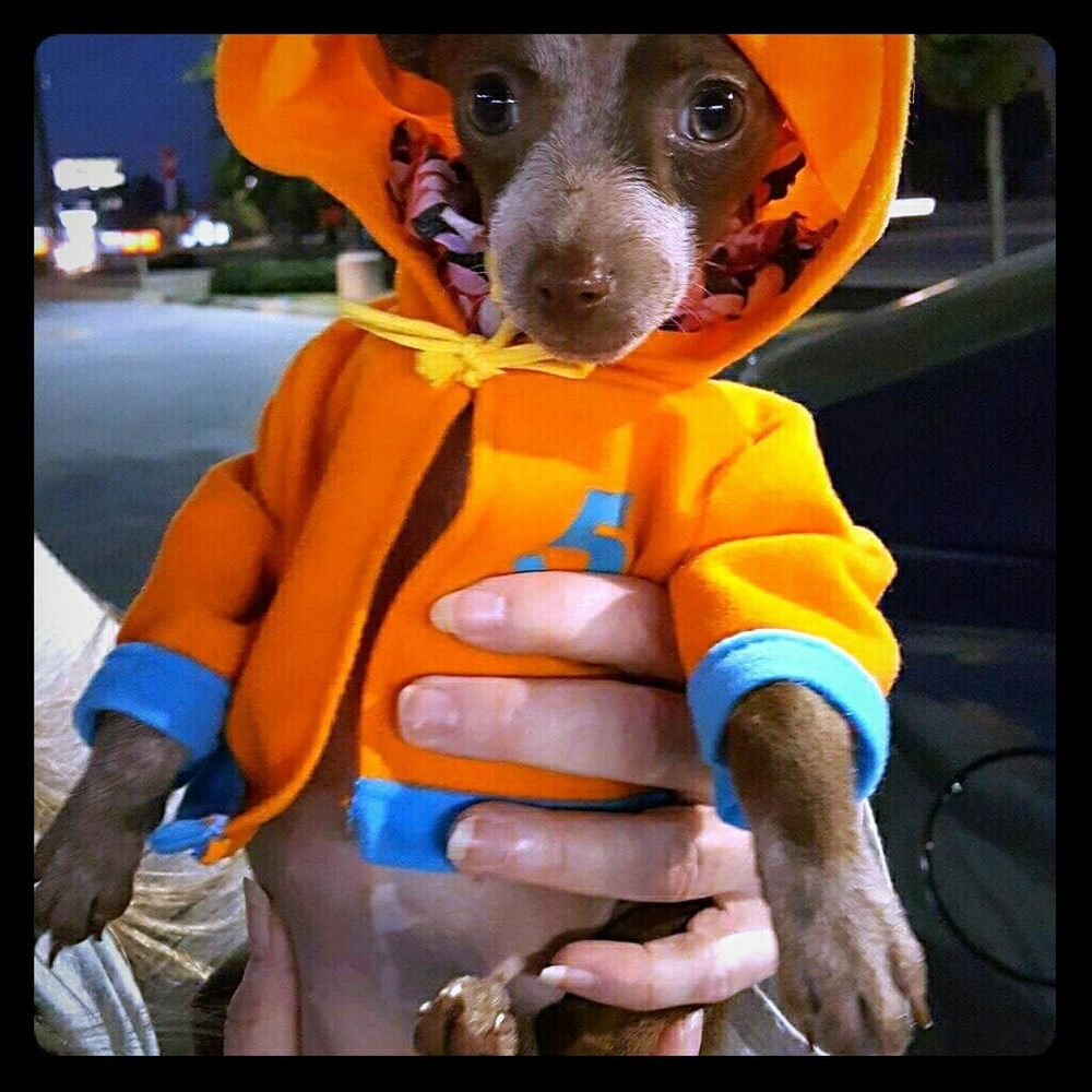 ADOPT PRINCESS SOFIA / Designer Rescue