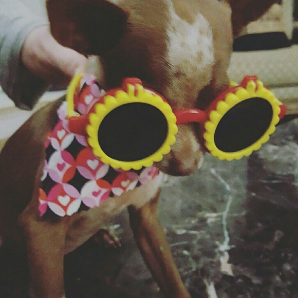 ADOPT PRINCESS SOFIA / Designer Rescue - Picture 2 of 5