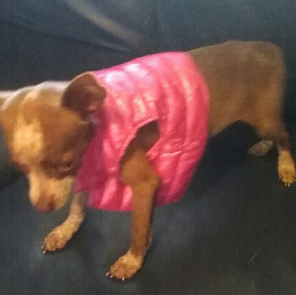 ADOPT PRINCESS SOFIA / Designer Rescue - Picture 3 of 5