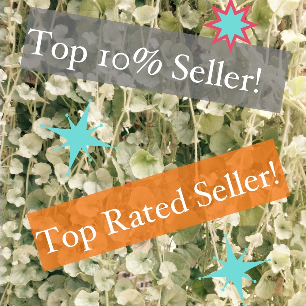🌿 Always Cool With Offers 🌿