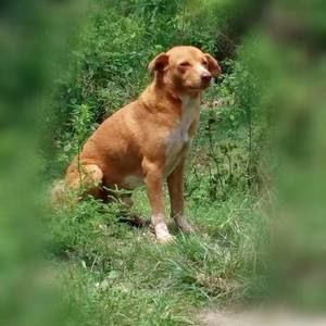 Meet your Posher, Choy