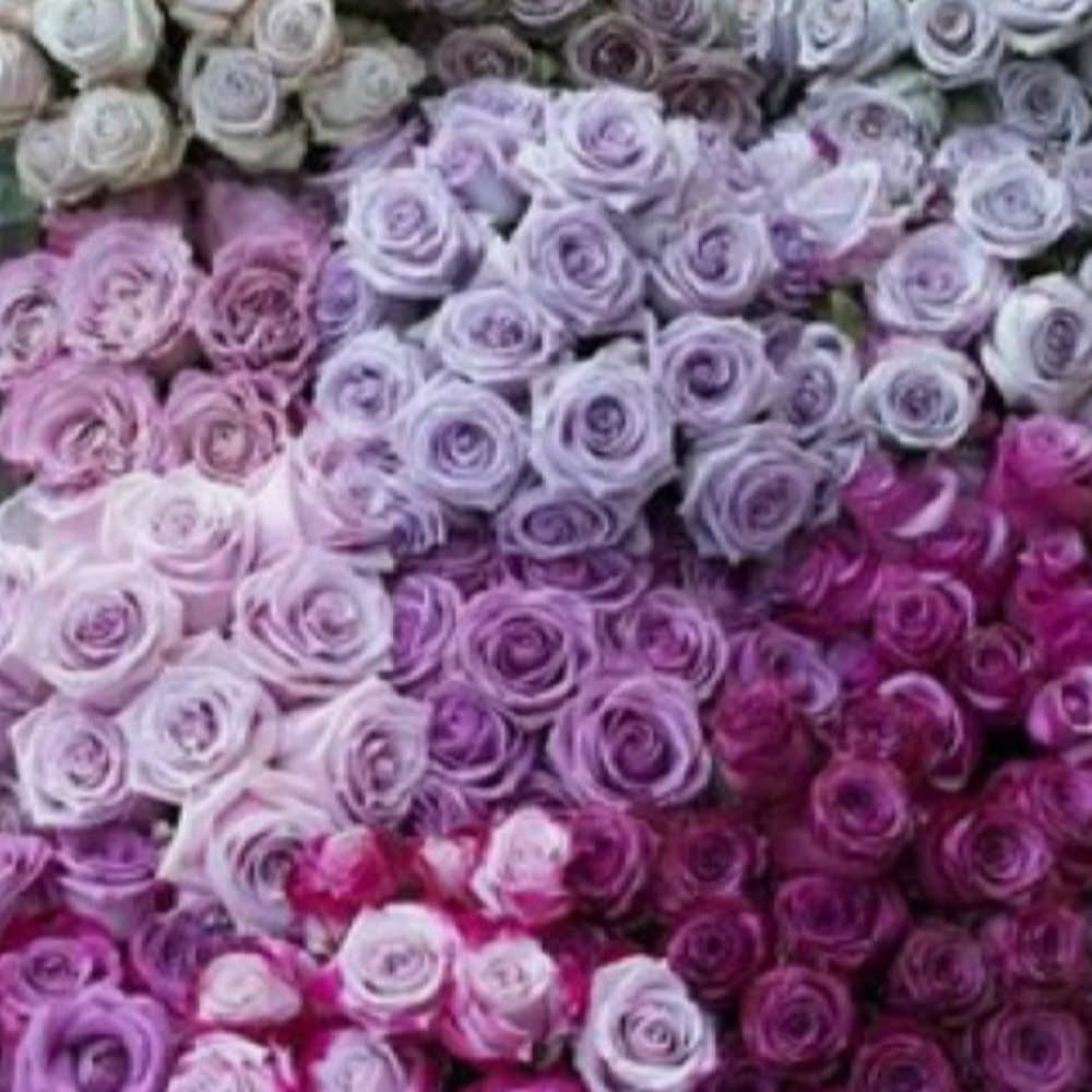 Meet your Posher, Kendall