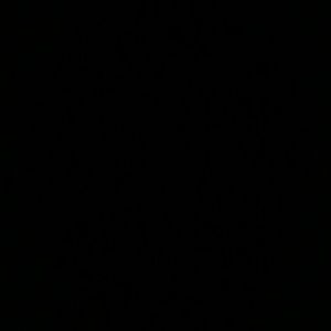 Meet your Posher, Reva