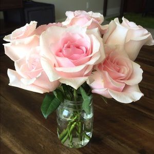 Meet your Posher, Caroline