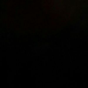 Meet your Posher, Walter