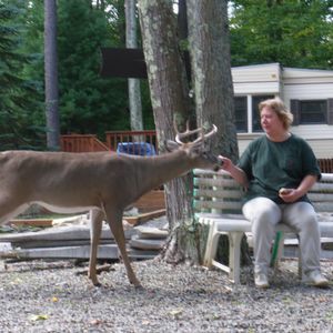 Meet your Posher, Alison