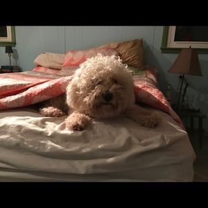 Meet your Posher, Harlez