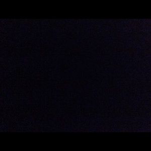 Meet your Posher, Joey