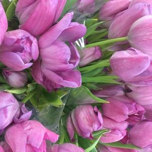 Meet your Posher, Faye