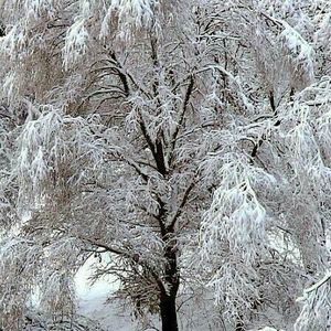 Meet your Posher, Joan